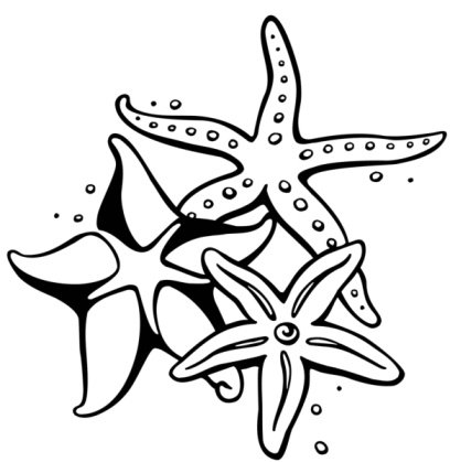 Simple Starfishes Tattoo Design