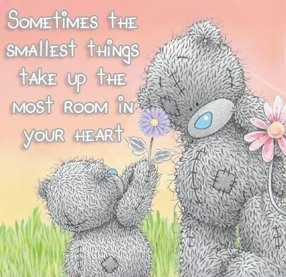 Sometimes The Smallest Things Take Up The Most Room In Your Heart Tatty Teddies Picture
