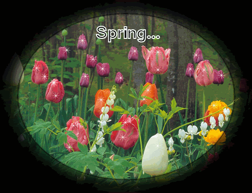 Spring Wishes Tulip Flowers Glitter Picture