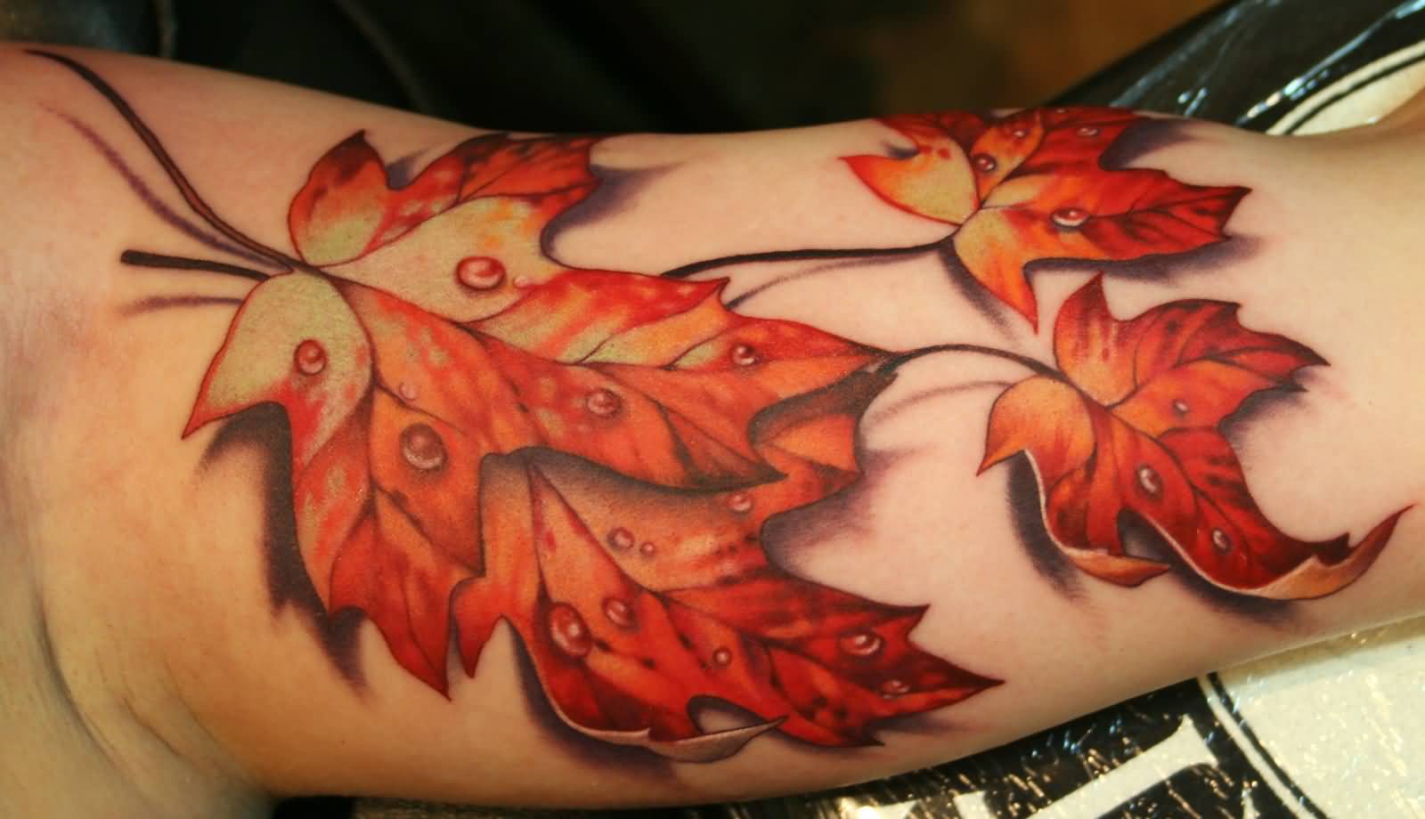 Stunning 3D Maple Leaves Fall Tattoo On Bicep