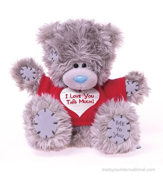 Tatty Teddy Love You This Much Heart Tshirt Picture