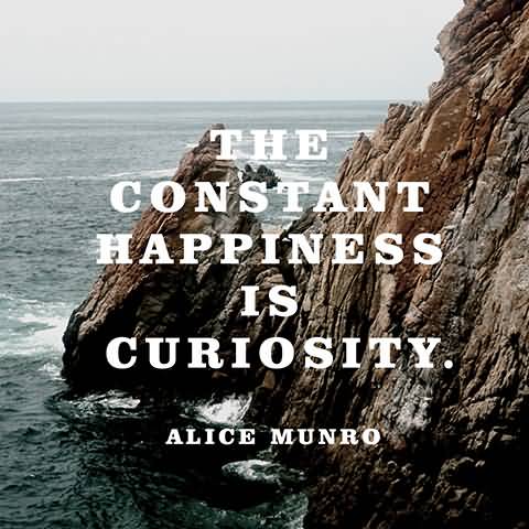 The constant happiness is curiosity - Alice Munro (2)