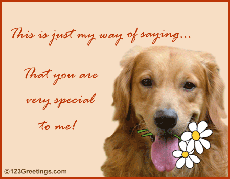 This Is Just My Way Of Saying That You Are Very Special To Me Cute Dog Animated Picture