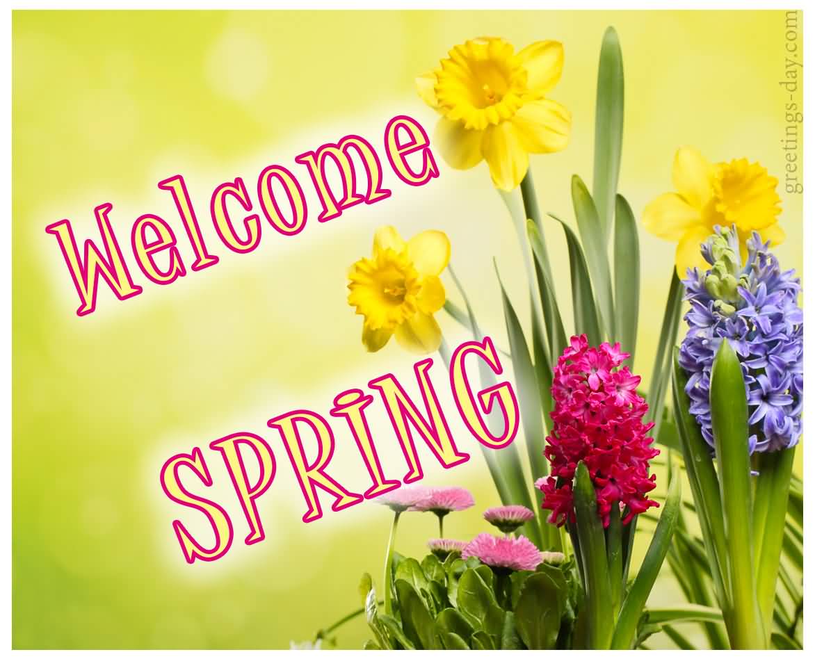 Welcome Spring Card