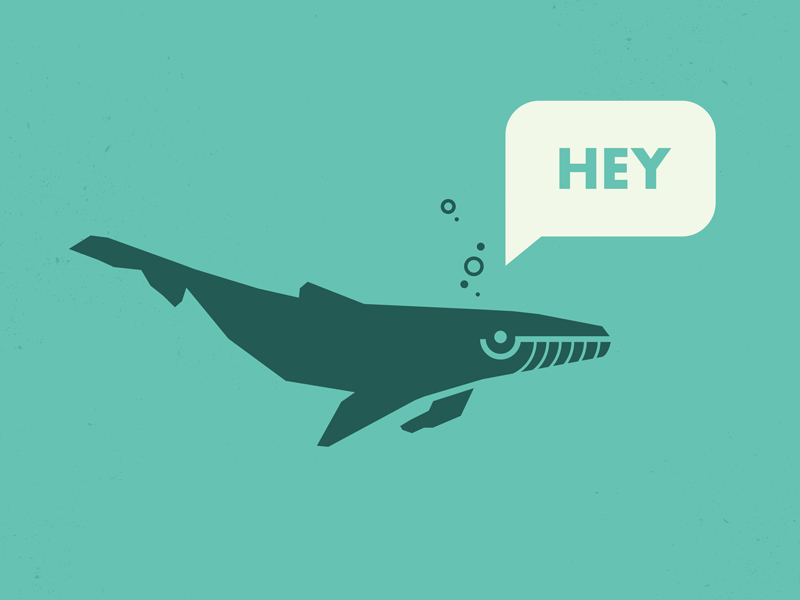 Whale Says Hey To You Clipart