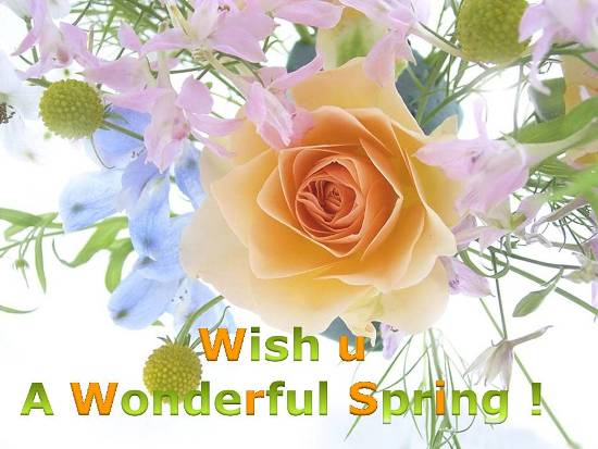 Wishes You A Wonderful Spring Wishes Card