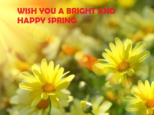 Wish You A Bright And Happy Spring