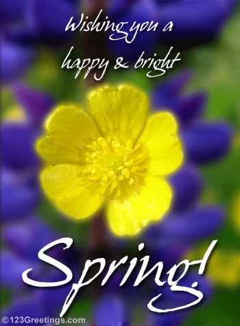 Wishing You A Happy & Bright Spring