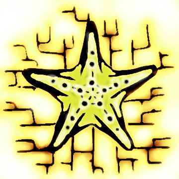 Yellow Color Starfish Tattoo Design