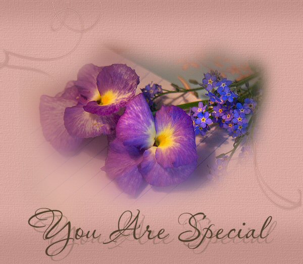 You Are Special Flowers Image