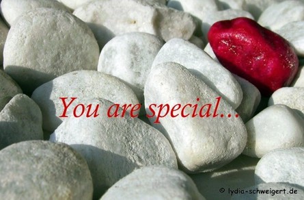 You Are Special Rocks Picture