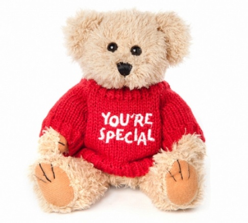 You're Special Teddy Bear