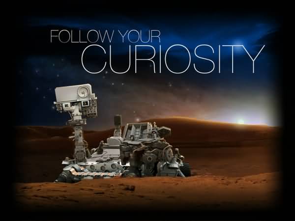Follow your curiosity.