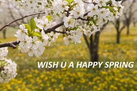 Wish You Happy Spring