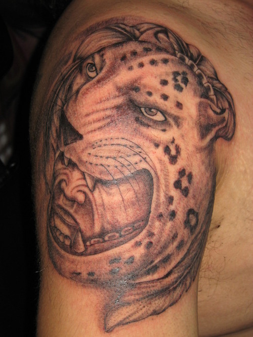 Amazing Grey Color Aztec Jaguar Head Tattoo On Right Shoulder
