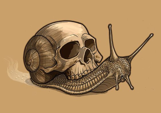 Amazing Snail And Skull On Back Tattoo Sample By TmoeGee