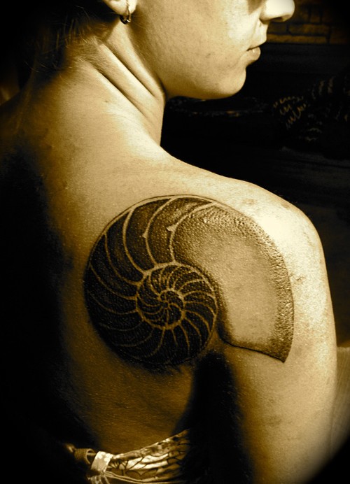Amazing Snail Shell Tattoo On Right Back Shoulder