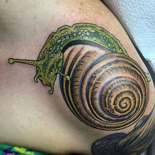 Attractive Snail Tattoo On Upper shoulder