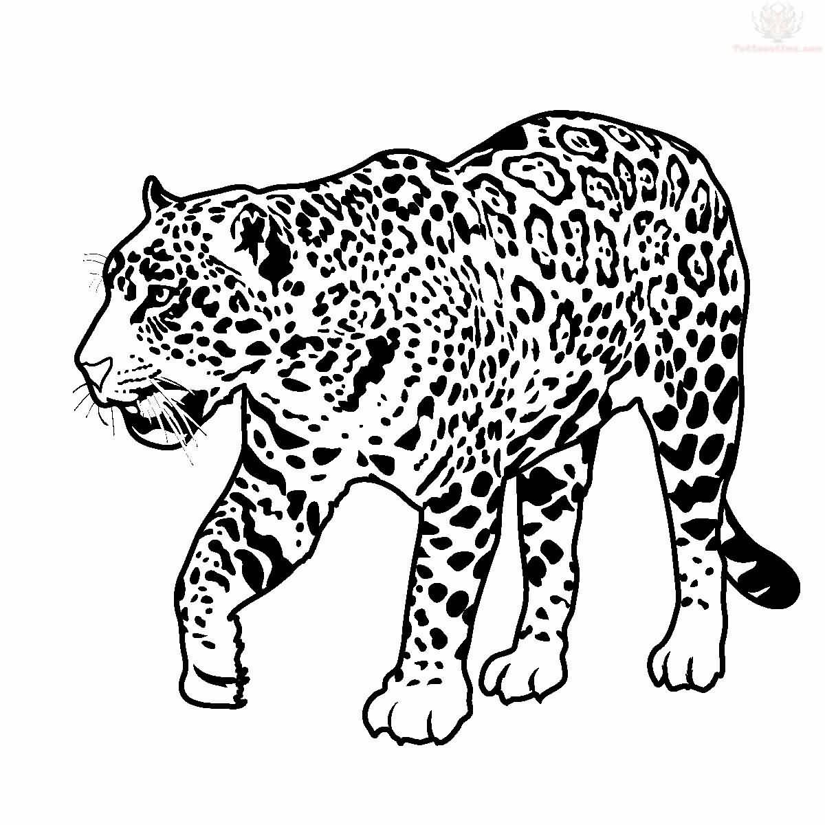 Awesome Jaguar Walking Tattoo Design