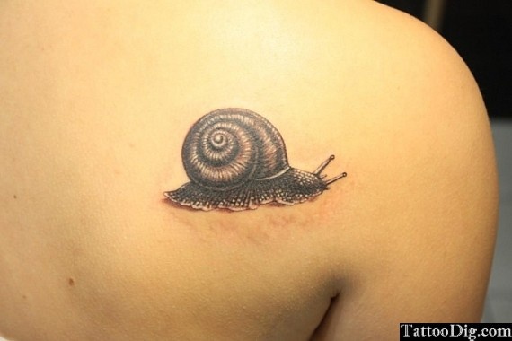 Beautiful 3D Grey Snail Tattoo On Right Back Shoulder
