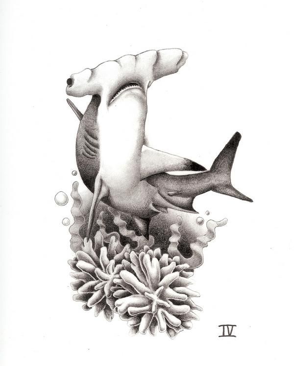 Beautiful Hammerhead Shark Under Water Tattoo Design