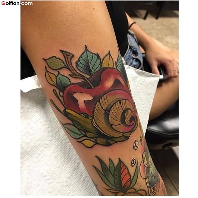 Best Snail With Animal Colorful Tattoo On Arm Sleeve
