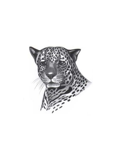 Black And Grey Jaguar Head Tattoo Sketch
