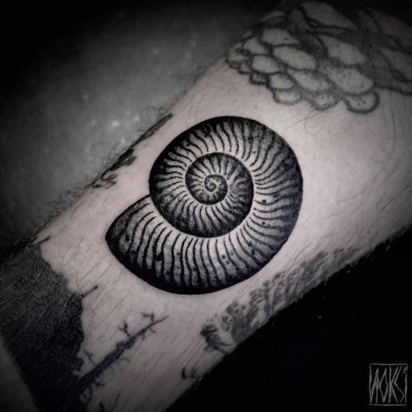 Black And Grey Snail Shell Tattoo By Noksi