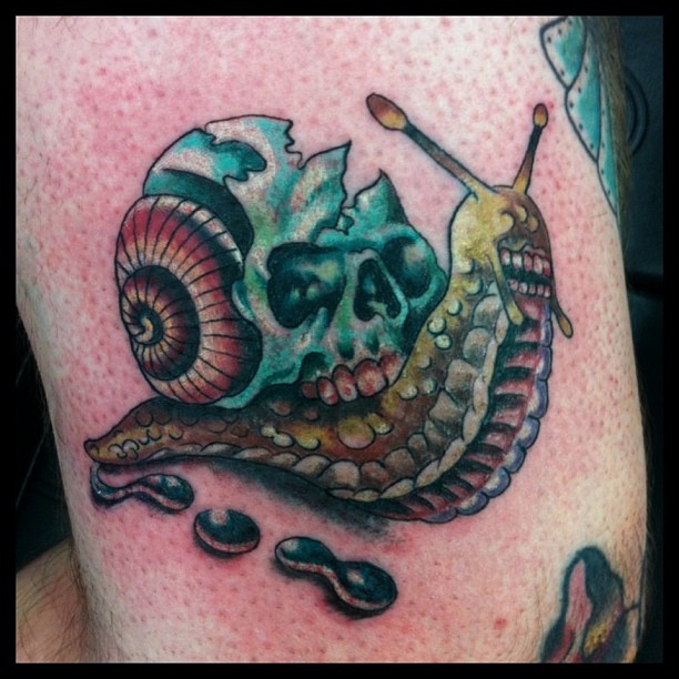 Colored Skull On Snail Back Tattoo