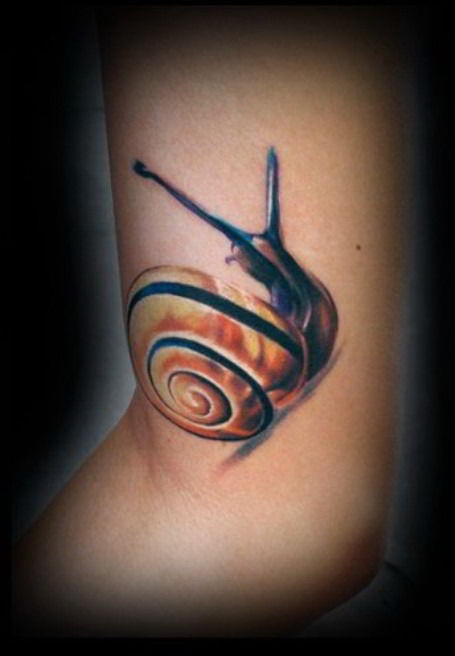 Cool Snail Colorful Tattoo On Bicep