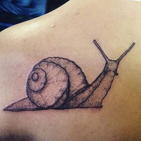 Cute Grey Dotwork Snail Tattoo By HuntedbyWolves