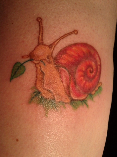 Cute Snail Holding Leaf With Mouth Tattoo