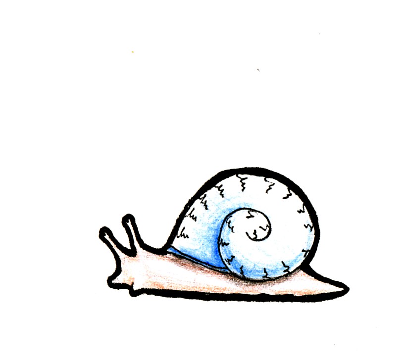 Cute Snail Tattoo Design