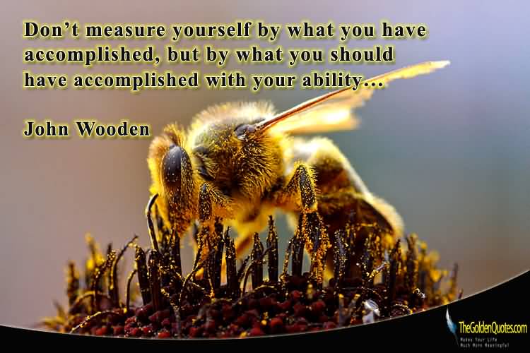 Don't measure yourself by what you have accomplished, but by what you should have accomplished with your ability…  - John Wooden
