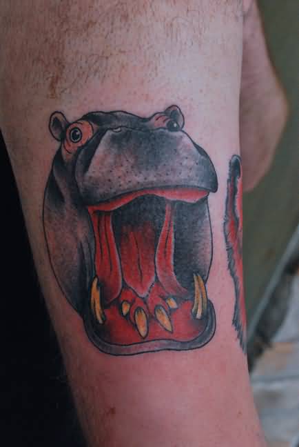 Grey And Red Angry Hippo Head Tattoo