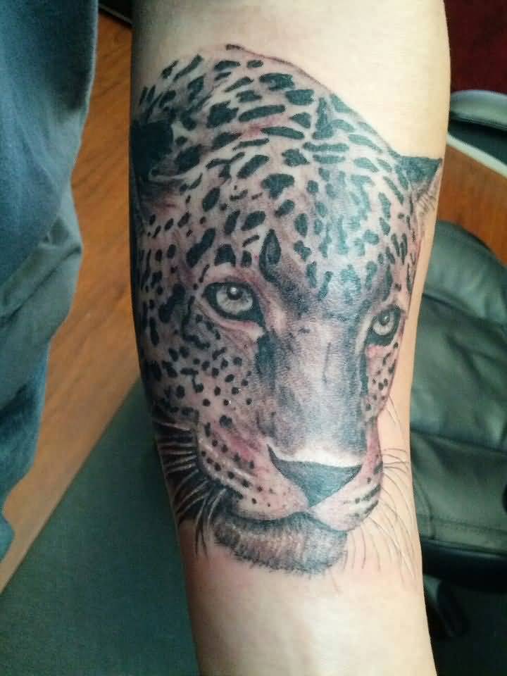 Grey Ink Calm Jaguar Face Tattoo On Forearm