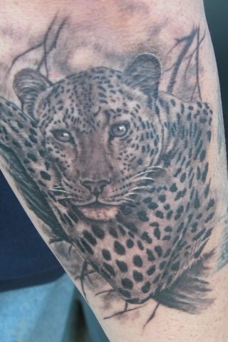 Grey Ink Jaguar On Tree Branch Tattoo