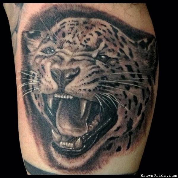 Grey Ink Jaguar Roaring Tattoo By Indio Reyes