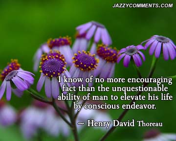 I know of no more encouraging fact than the unquestionable ability of man to elevate his life by conscious endeavor - Henry David Thoreau