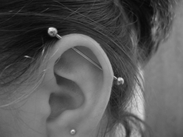 Industrial Piercing On Left Ear by Firexcrotch91