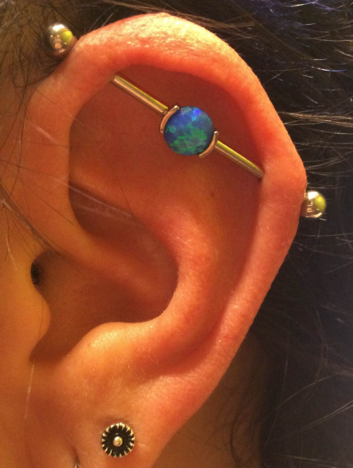 Industrial Piercing With Blue Pearl Barbell