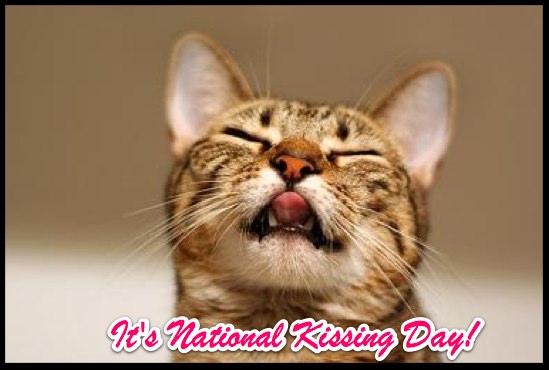 It's National Kissing Day Cat Picture