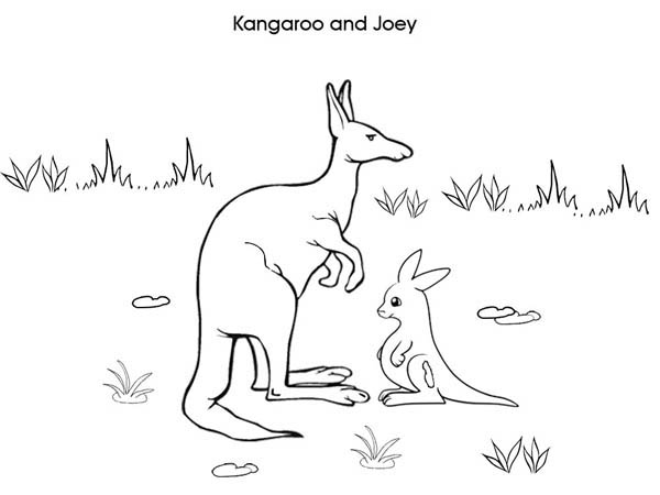 Kangaroo And Baby Kangaroo With Grass Tattoo Design