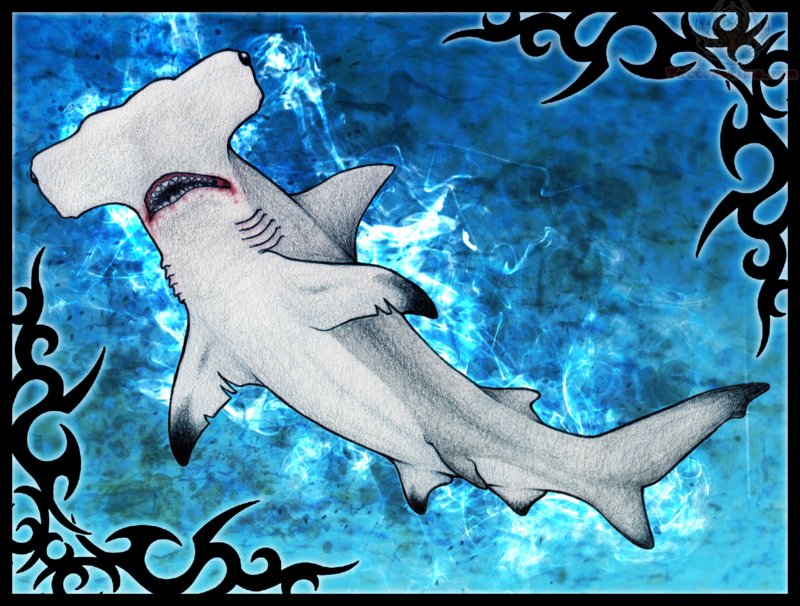Lovely Hammerhead Shark Under Water With Tribal Design Tattoo Stencil
