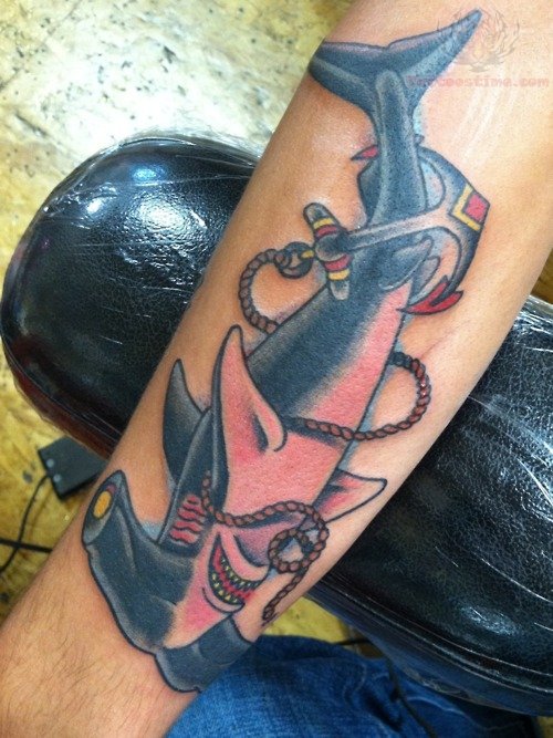 Lovely Hammerhead Shark With Anchor Rope Traditional Tattoo On Forearm