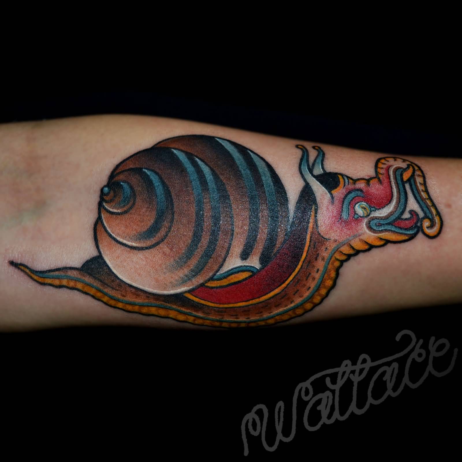 Nice Dragon Snail Traditional Tattoo On Forearm