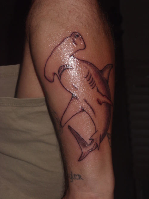 Nice Grey Ink Hammerhead Shark Tattoo