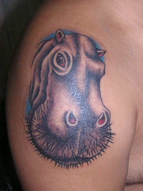 Nice Grey Ink Hippo Head Tattoo On Right Shoulder