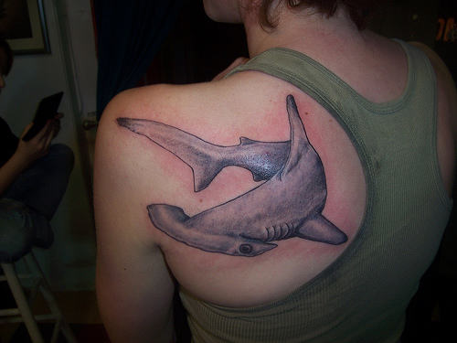 Nice Hammerhead Shark Tattoo On Left Back Shoulder