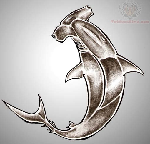 Nice Hammerhead Shark Tattoo Sample